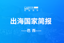 918博天堂官网GO GLOBAL | 巴西国家简报